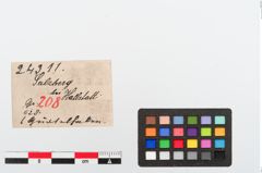 Etiketten zu Bronzegürtelhaken (NHMW-PRAE-024311)